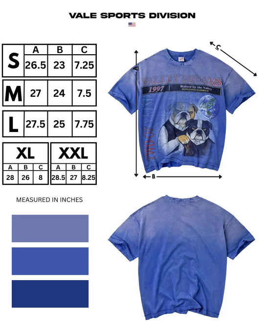 Step Bro Tee (Blue)