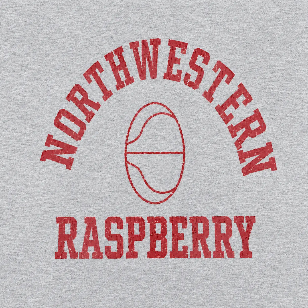 NW Basketball Hoodie (Gray)