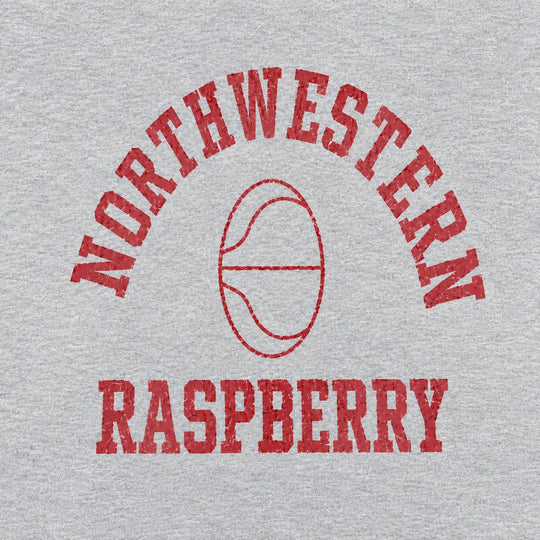 NW Basketball Hoodie (Gray)